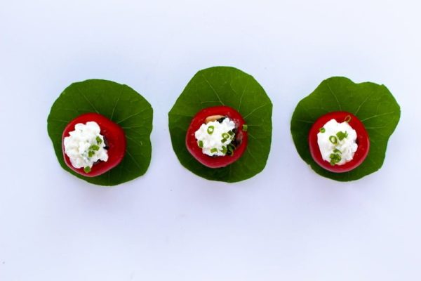Strawberry6_resize