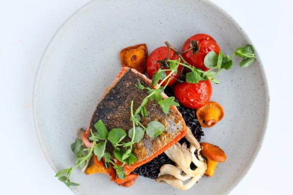 salmon1_resize