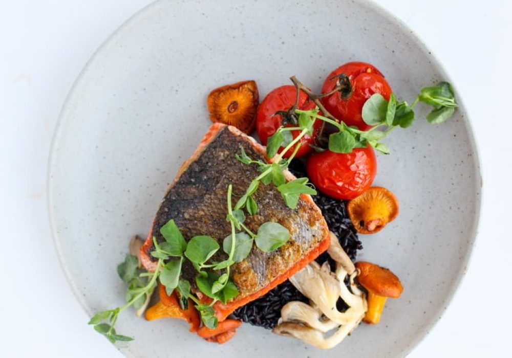 salmon1_resize